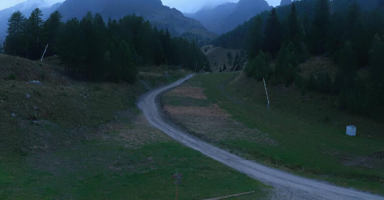 Webcam Пейо 3000 - Scoiattolo Ski School