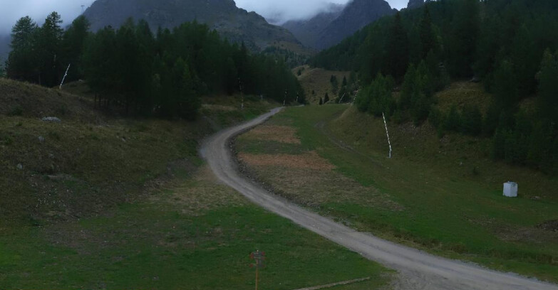 Webcam Пейо 3000 - Scoiattolo Ski School