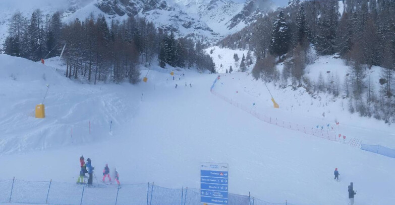 Webcam Pejo 3000 - Scoiattolo Skischule