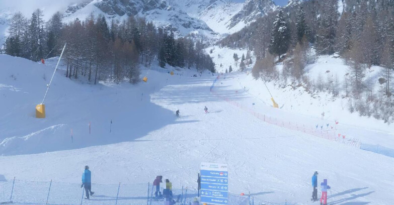 Webcam Pejo 3000 - Scoiattolo Skischule