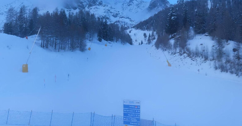 Webcam Pejo 3000 - Scoiattolo Skischule