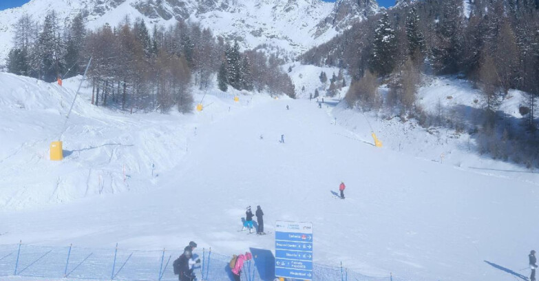 Webcam Пейо 3000 - Scoiattolo Ski School