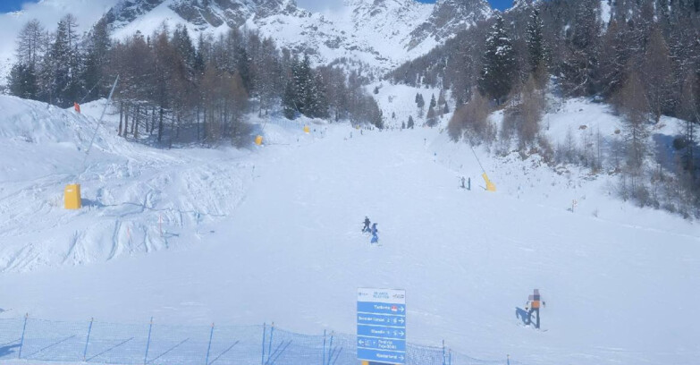 Webcam Пейо 3000 - Scoiattolo Ski School