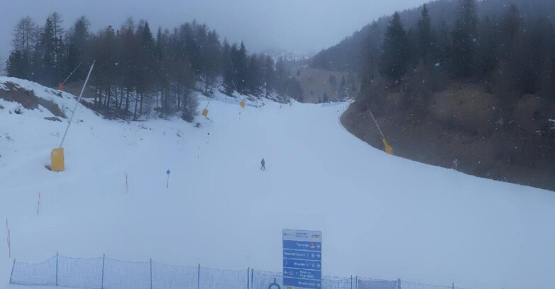 Webcam Pejo 3000 - Scoiattolo Ski School