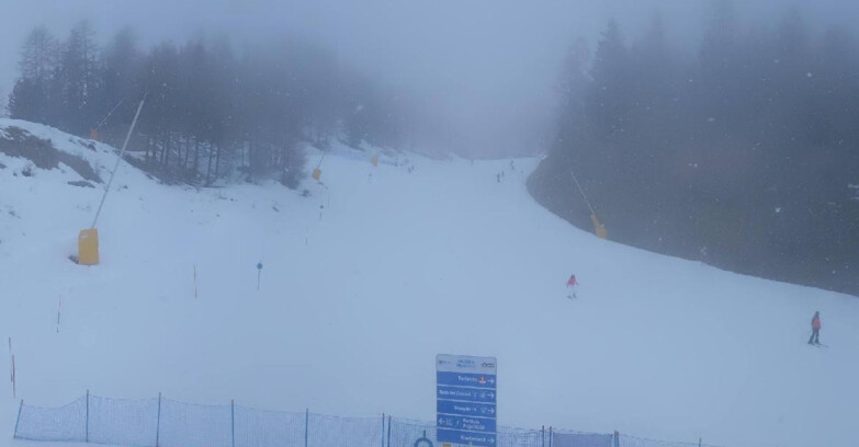 Webcam Pejo 3000 - Scoiattolo Ski School