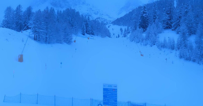 Webcam Pejo 3000 - Campo Scuola Scoiattolo