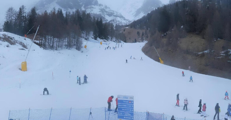 Webcam Пейо 3000 - Scoiattolo Ski School