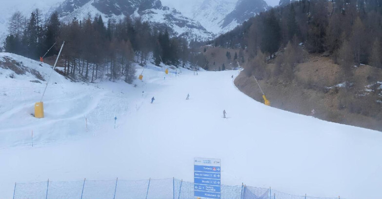 Webcam Пейо 3000 - Scoiattolo Ski School