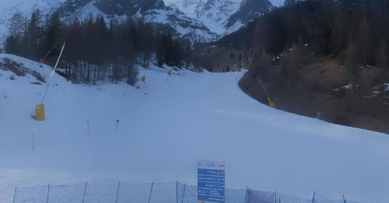 Webcam Пейо 3000 - Scoiattolo Ski School