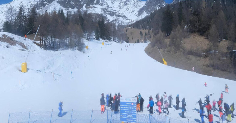 Webcam Pejo 3000 - Scoiattolo Ski School