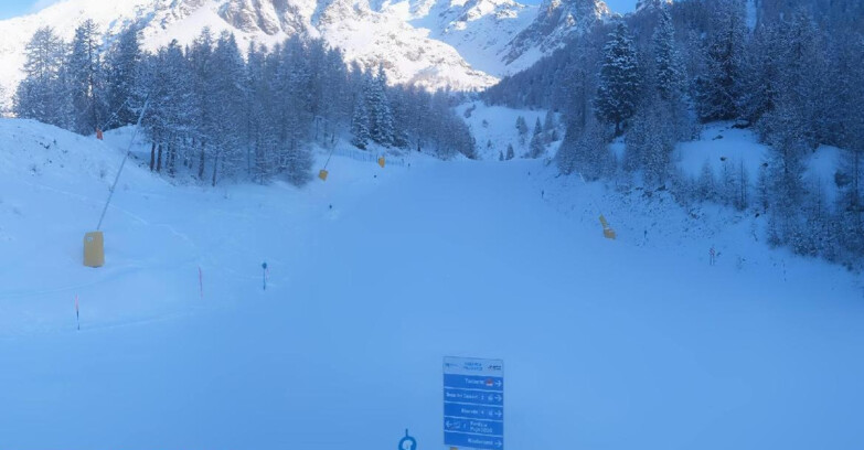 Webcam Pejo 3000 - Campo Scuola Scoiattolo