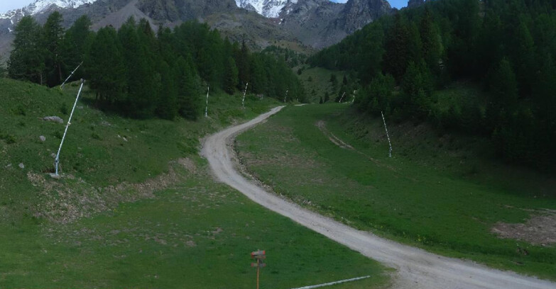 Webcam Pejo 3000 - Campo Scuola Scoiattolo