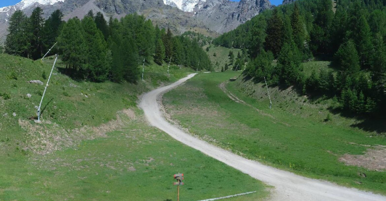 Webcam Pejo 3000 - Campo Scuola Scoiattolo