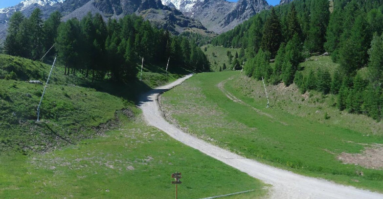 Webcam Pejo 3000 - Campo Scuola Scoiattolo