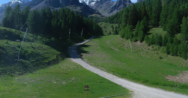 Webcam Pejo 3000 - Campo Scuola Scoiattolo