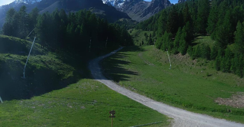 Webcam Pejo 3000 - Campo Scuola Scoiattolo
