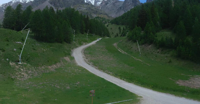 Webcam Pejo 3000 - Scoiattolo Ski School