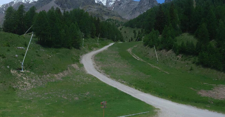 Webcam Pejo 3000 - Scoiattolo Ski School