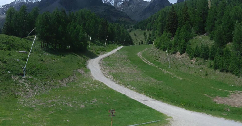 Webcam Pejo 3000 - Scoiattolo Ski School