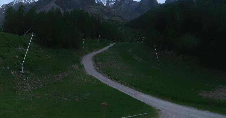 Webcam Pejo 3000 - Scoiattolo Ski School