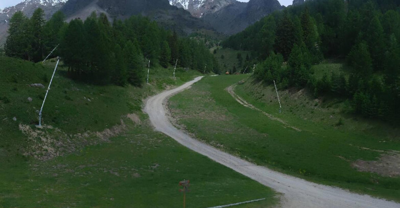 Webcam Pejo 3000 - Scoiattolo Ski School