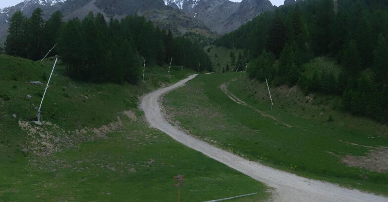 Webcam Pejo 3000 - Scoiattolo Ski School