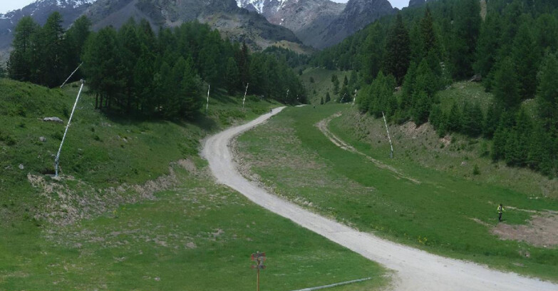 Webcam Pejo 3000 - Scoiattolo Ski School