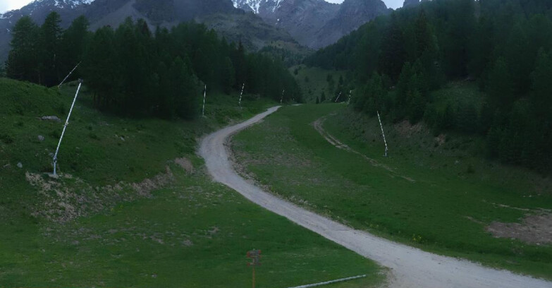 Webcam Pejo 3000 - Scoiattolo Ski School