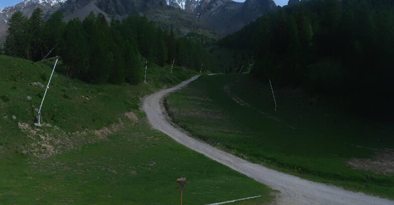 Webcam Pejo 3000 - Scoiattolo Ski School