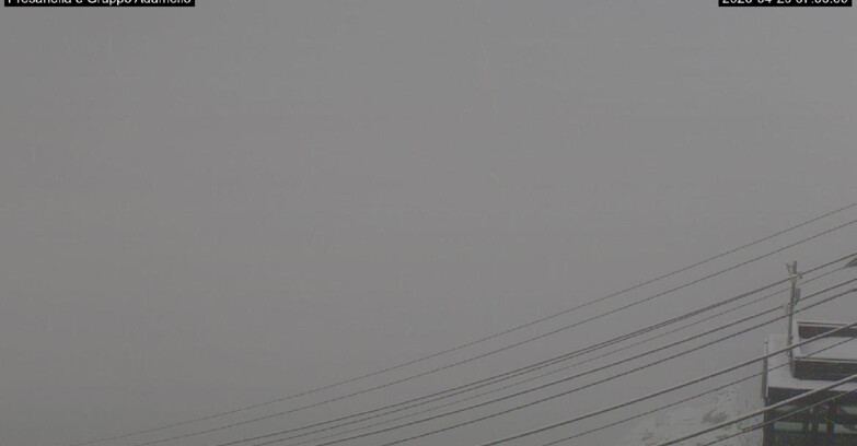 Webcam Pejo 3000 - Pejo -Presanella e Gruppo Adamello