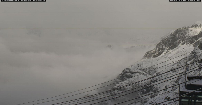 Webcam Pejo 3000 - Pejo -Presanella e Gruppo Adamello