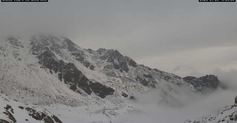 Webcam Pejo 3000 - Val della Mite