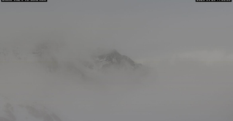 Webcam Pejo 3000 - Val della Mite