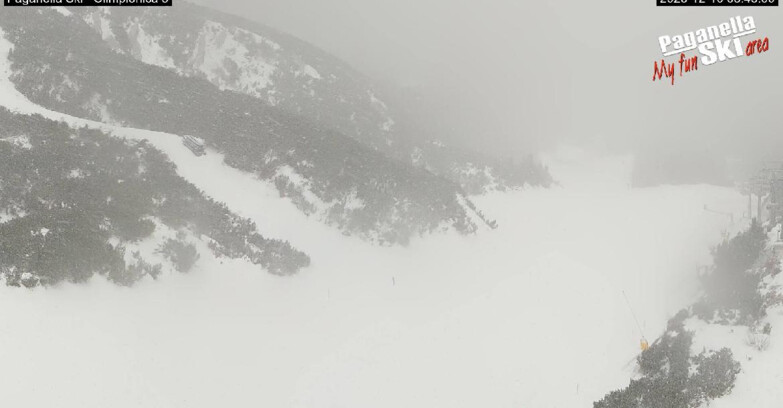 Webcam Paganella Ski – Andalo – Fai della Paganella - Pista Olimpionica 3