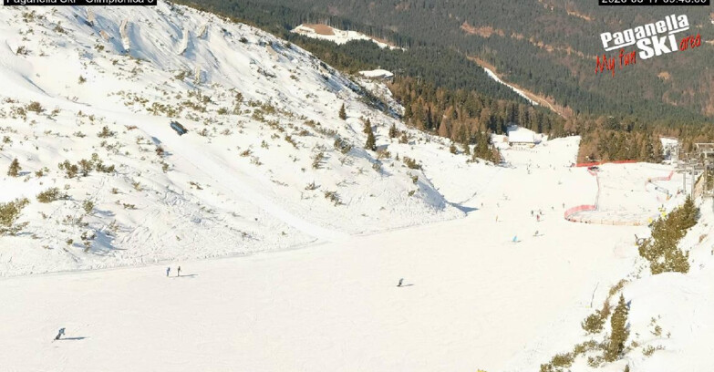 Webcam Paganella Ski – Andalo – Fai della Paganella - Pista Olimpionica 3