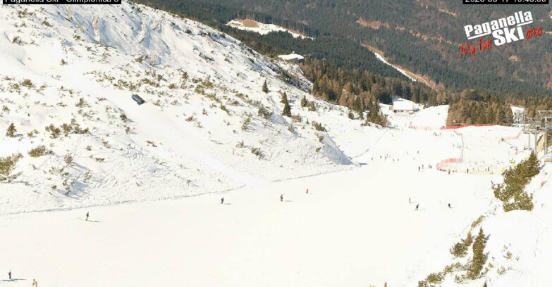 Webcam Paganella Ski – Andalo – Fai della Paganella - Pista Olimpionica 3