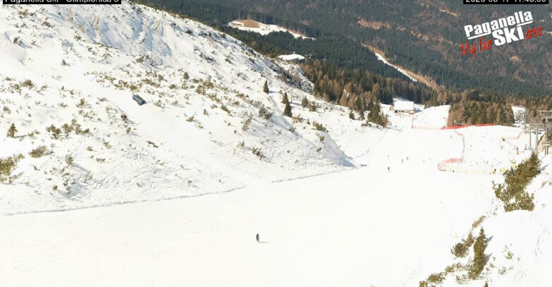 Webcam Paganella Ski – Andalo – Fai della Paganella - Pista Olimpionica 3