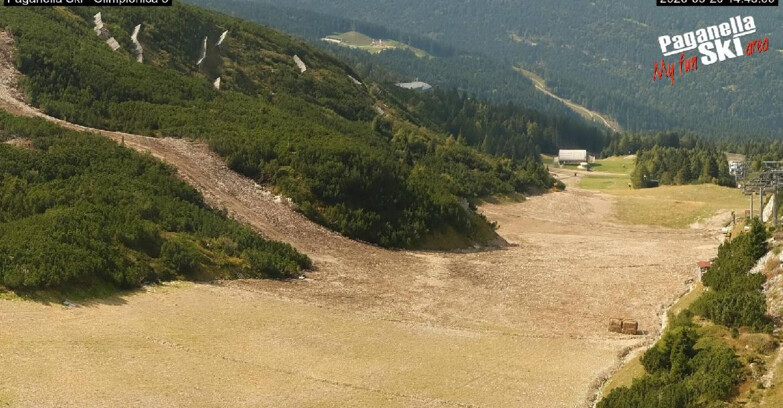 Webcam Paganella Ski – Andalo – Fai della Paganella - Pista Olimpionica 3