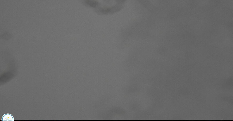 Webcam Passo Brocon-Marande - Passo Brocon e Pale di S.Martino