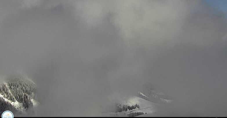 Webcam Passo Brocon-Marande - Brocon Pass and Pale di S.Martino 