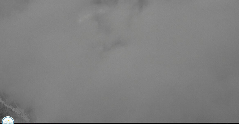 Webcam Passo Brocon-Marande - Brocon Pass and Pale di S.Martino 