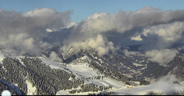 Webcam Passo Brocon-Marande - Brocon Pass and Pale di S.Martino 