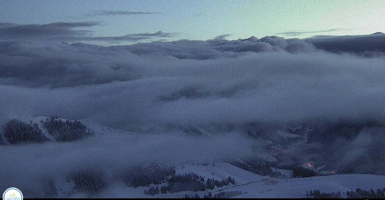 Webcam Passo Brocon-Marande - Brocon Pass and Pale di S.Martino 