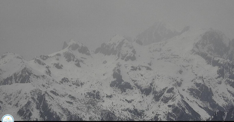 Webcam Passo Brocon-Marande - Cima d'Asta