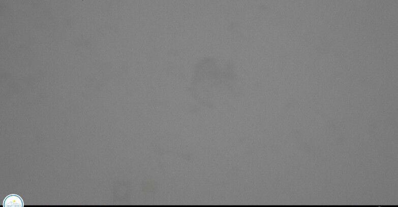 Webcam Passo Brocon-Marande - Valsugana