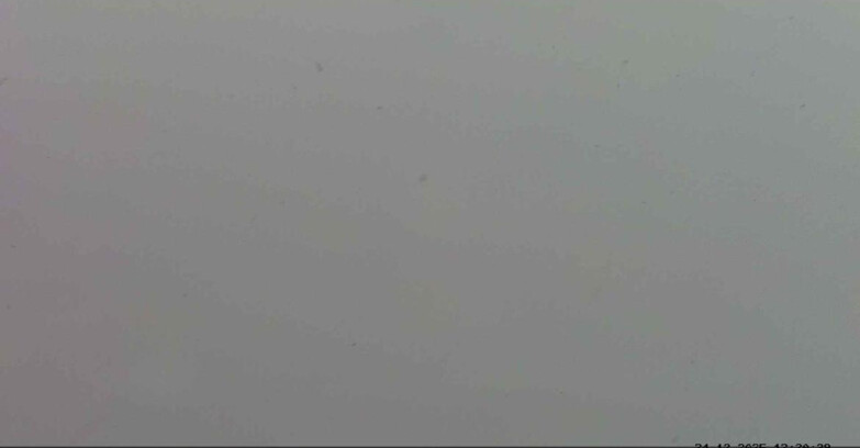 Webcam Passo San Pellegrino-Falcade  - Pelmo