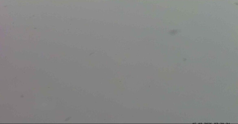 Webcam Passo San Pellegrino-Falcade  - Pelmo