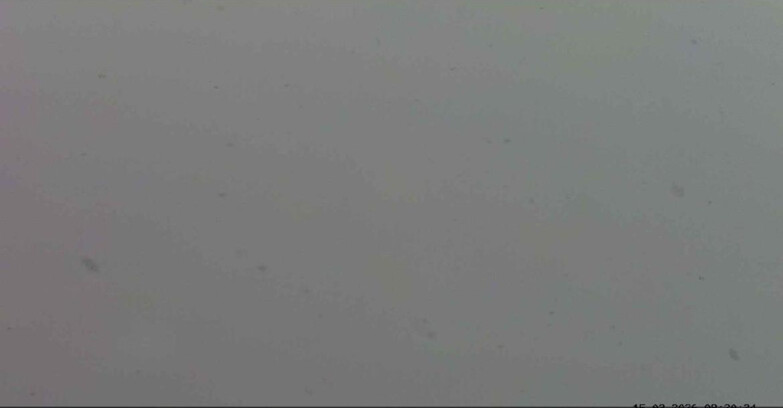 Webcam Passo San Pellegrino-Falcade  - Pelmo