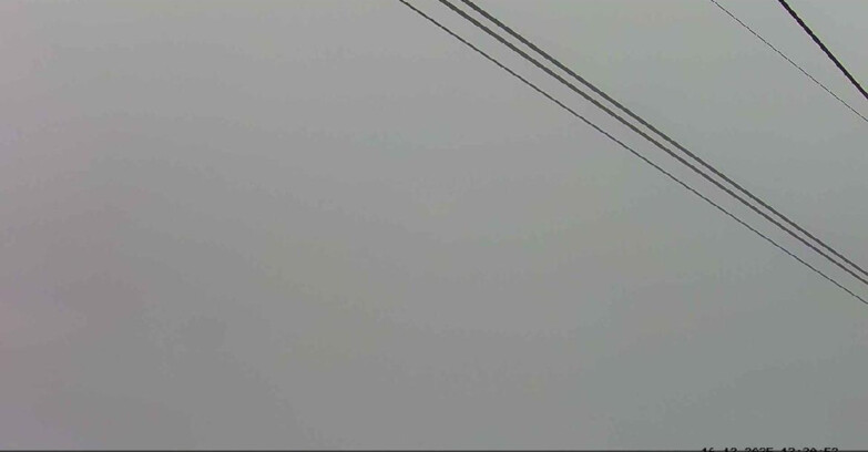 Webcam Passo San Pellegrino-Falcade  - Passo San Pellegrino