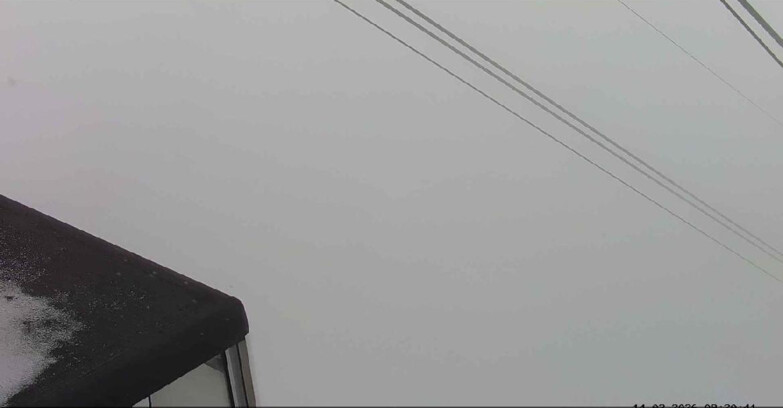 Webcam Passo San Pellegrino-Falcade  - Passo San Pellegrino